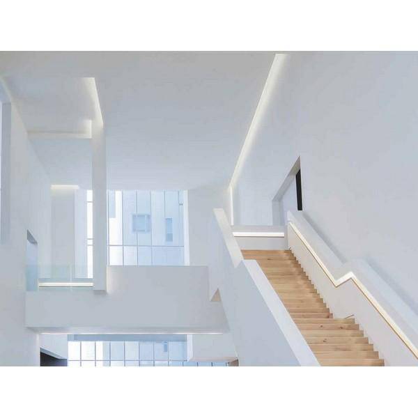 I LumoS 8x16mm GREEN Flexible IP65 Dimmable Double Sided LED Neon Strip Light 12V DC 9W/m - Planet Neon